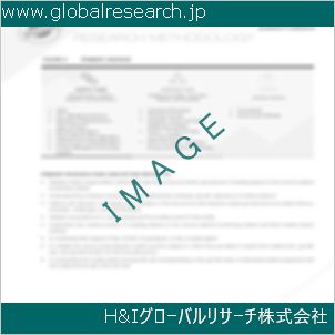 グローバルリサーチ調査資料のイメージ